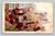 Antique postcard published by I. Tammen in 1906 with undivided back