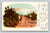Picking oranges near snowfields in Southern California vintage postcard