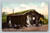 A western bachelor's home in Chinook Montana postcard by Chas. I. Morris