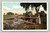Scene near Cochecton Center scenic view postcard