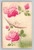 Unknown subject postcard from Bethel, New York