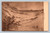 Sand dunes in Provincetown Massachusetts vintage postcard