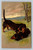 Two black tan dachshunds playing outdoors