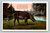 Florida Razor-back Hog vintage postcard by Asheville Post Card Co.