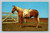 Ready to Ride horse and rider in scenic outdoor setting near Mt. Rushmore Black Hills