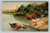 Judo ducks illustration postcard from Germany with U.S. postage stamp
