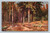 The wood of masts forest of ship masts in Schischkine France
