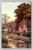 View on the Avon at Lake near Salisbury England vintage postcard by J. Salmon