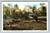 Turpentine still in Asheville southern United States postcard