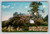 Vintage postcard addressed to Jeffersonville with U.S. Postage Cent stamp