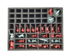 A Song of Ice & Fire Foam Kit for the P.A.C.K. 720 (BFL)
