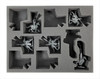 Age of Sigmar Ossiarch Bonereapers Universal Kavalos Deathriders Foam Tray (BFL-2)