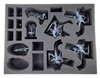 Age of Sigmar Seraphon Foam Kit for the P.A.C.K. 720 (BFL)