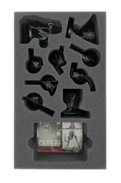 Warcry The Unmade Foam Tray (BFB.5-2) Warcry The Unmade Foam Tray (BFB.5-2)