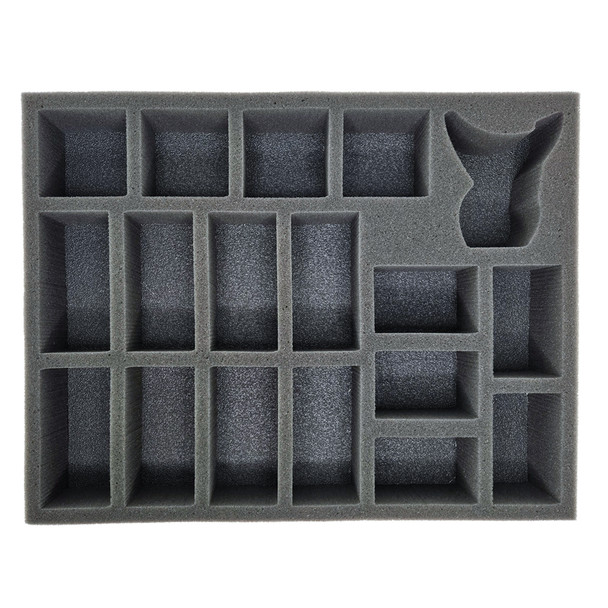 40k Blood Angels Sanguinor and Sanguinary Guard 2024 Foam Tray (BFL-2)