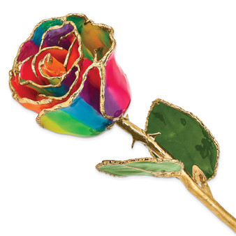 Lacquer Dipped Gold Trimmed Paradise Neon Tie Dyed Real Rose