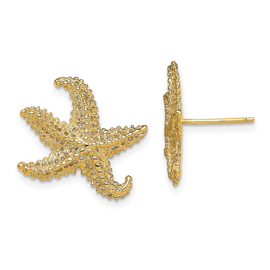 14k Yellow Gold Textured Starfish Post Earrings Fine Jewelry Gift - TE773