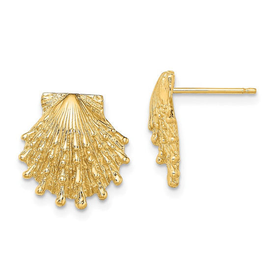 14k Yellow Gold Lion's Paw Shell Post Earrings Fine Jewelry Gift - TE831