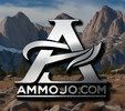 SC2AGuns LLC