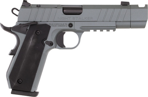 TISAS 1911 B9BA NSSF-C 9MM | 4.25" BBL 10RD W/CASE GREY | G10100133