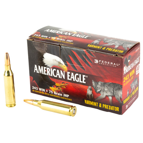 FED AM EAGLE V&P 243WIN 75GR 40/200