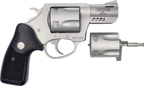 CHARTER ARMS DOUBLE DOG 2.2" 9MM/357 MAG PORTED STAINLESS