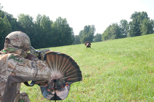 MONTANA DECOY TURKEY GOBBLER FANATIC 2D ?