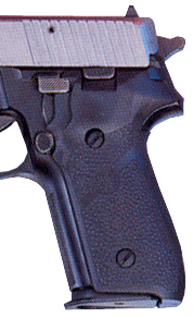 HOGUE GRIPS SIGARMS P228 & P229 RUBBER PANELS BLACK