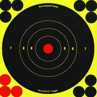 BC SHOOT-N-C 8 ROUND 30PK
