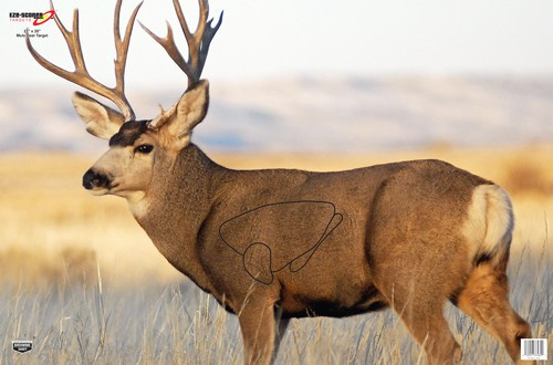 B/C TARGET EZE-SCORER 23"X35" MULE DEER 2 TARGETS
