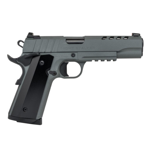 SDS ARMS IMPORTS TISAS 1911 NIGHT STALKER HANDGUN 45 ACP 8RD MAGAZINES 2 5"