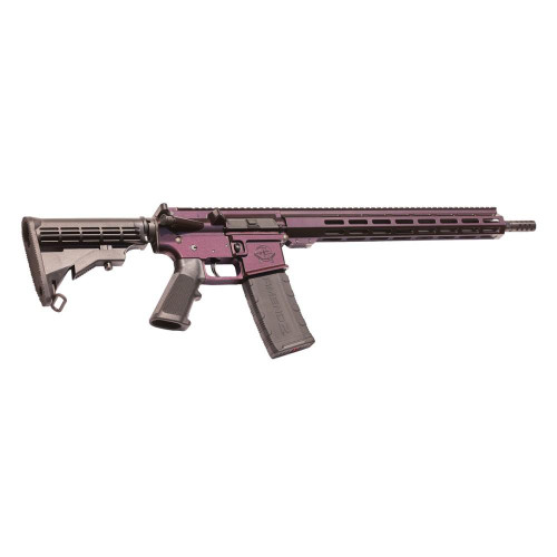 GREAT LAKES AR-15 RIFLE 223 WYLDE 30RD MAGAZINE 16" BARREL GALAXY HUNTER