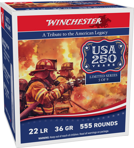 WINCHESTER 22LR 36GR PLATED HP 1280FPS 555RD 10BX/CS 250TH AN