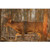 EZE-SCORER™ 23" X 35" WHITETAIL DEER PAPER TARGET
