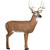 Glendel Targets 3D Crossbow Buck with 4-sided Insert - Buck Size