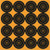 Birchwood Casey Big Burst Revealing Targets 3" - 48/Pack