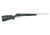 B22 22LR SS/SYN HEAVY BBL 21"#22 LR