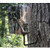 BRO TRAIL CAMERA ECON TREE MOUNT