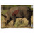 PREGAME BOAR TARGET - 16.5" X 24", 3 TARGETS