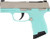 P365 380ACP NKL/TURQUOISE 10+1380 ACP