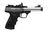 BUCKMARK MICRO BULL SS RD    #22 LR