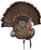 AVIAN X TROPHY TOM DECOY 
