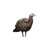 Avian-X LCD - Breeder Hen Turkey Decoy