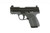 SAVAGE STANCE XR MC9 NIGHT SIGHTS 9MM GRAY