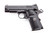 ACP 9MM 4" 10+1 BLK AMBI9mm