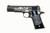 COLT GOVERNMENT 38SUPER MAMA QUILLA MOON