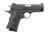 ARM 1911A1CS 45AP 3.5 PRK
