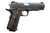 KIMBER TCTL ENTRY II 45 PSTL BL