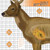 CHAMPION X-RAY TARGET DEER 25"X25" 6-PACK CHAMPION X-RAY TARGET DEER 25"X25" 6-PACK