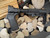 MFT MINIMALIST + Mesa + MAGPUL Tactical Stock Remington TAC14 Pistol Grip